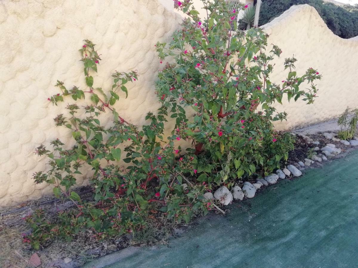 The Sea Of Sardinia Apartment Putzu Idu