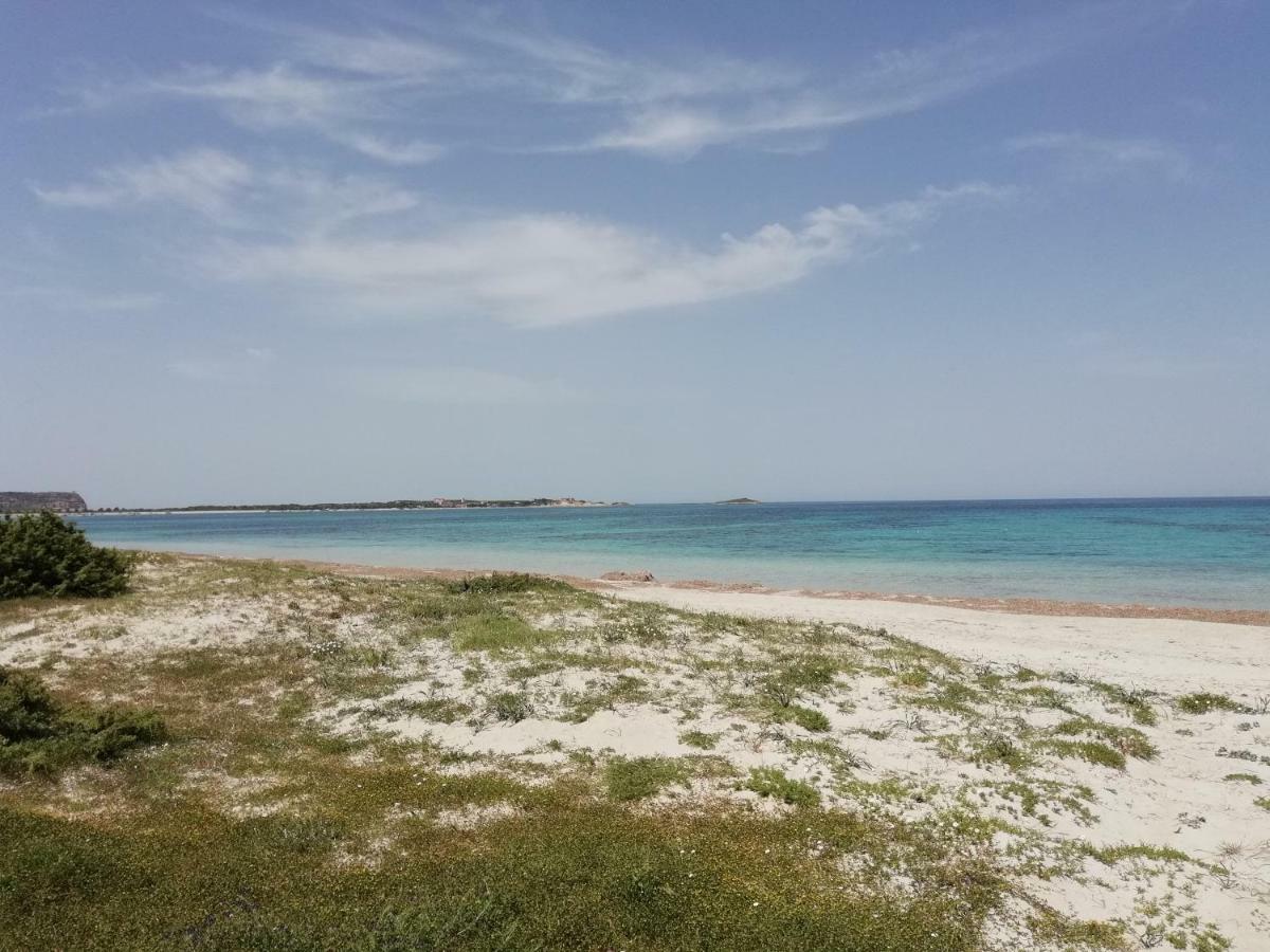 The Sea Of Sardinia